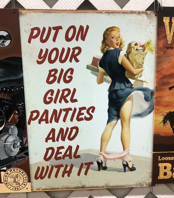 Woman in dress big girl panties tin sign