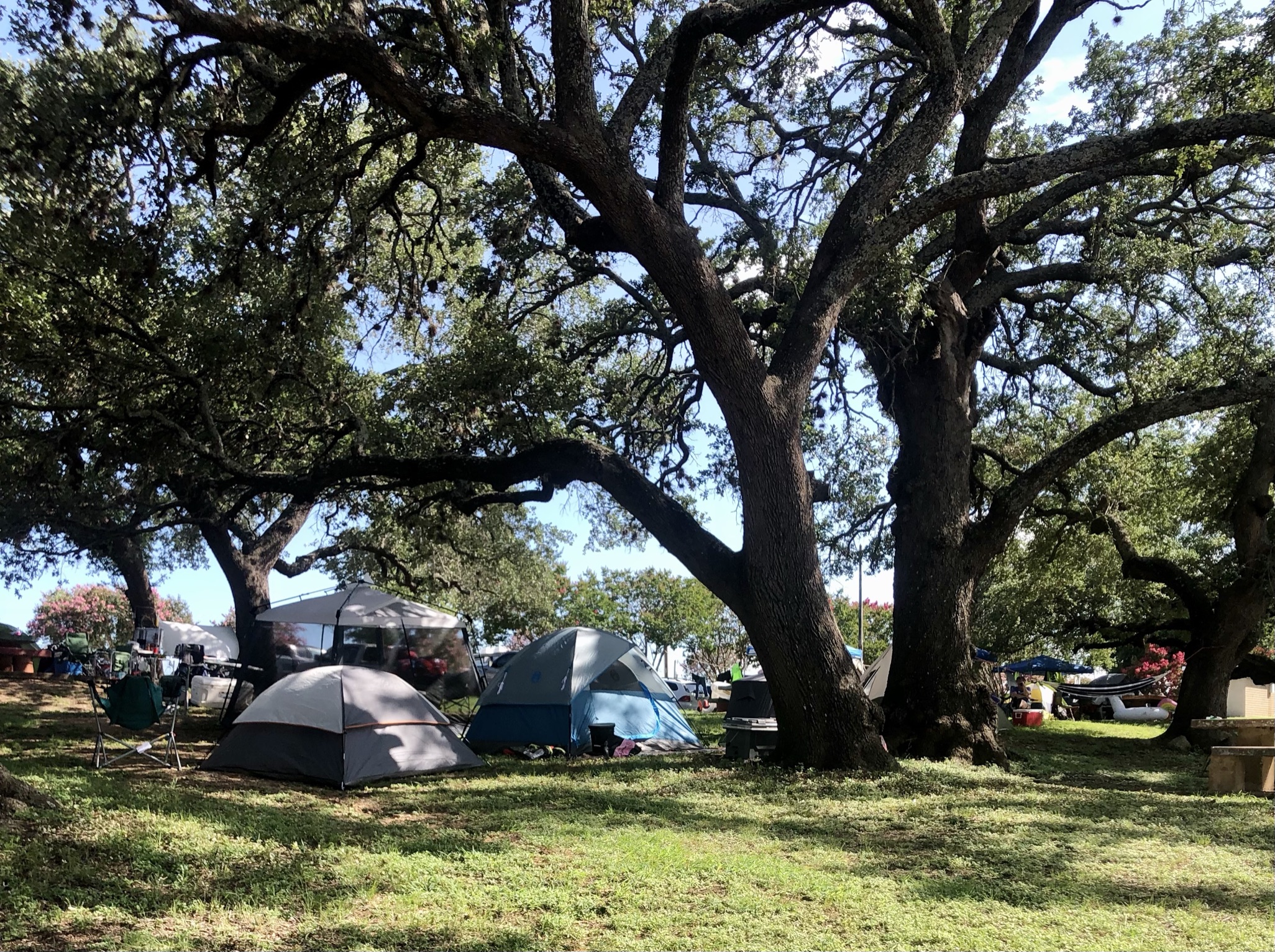 Robinson Llano County Park, tent, camping, chair, tree